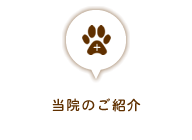 当院のご紹介