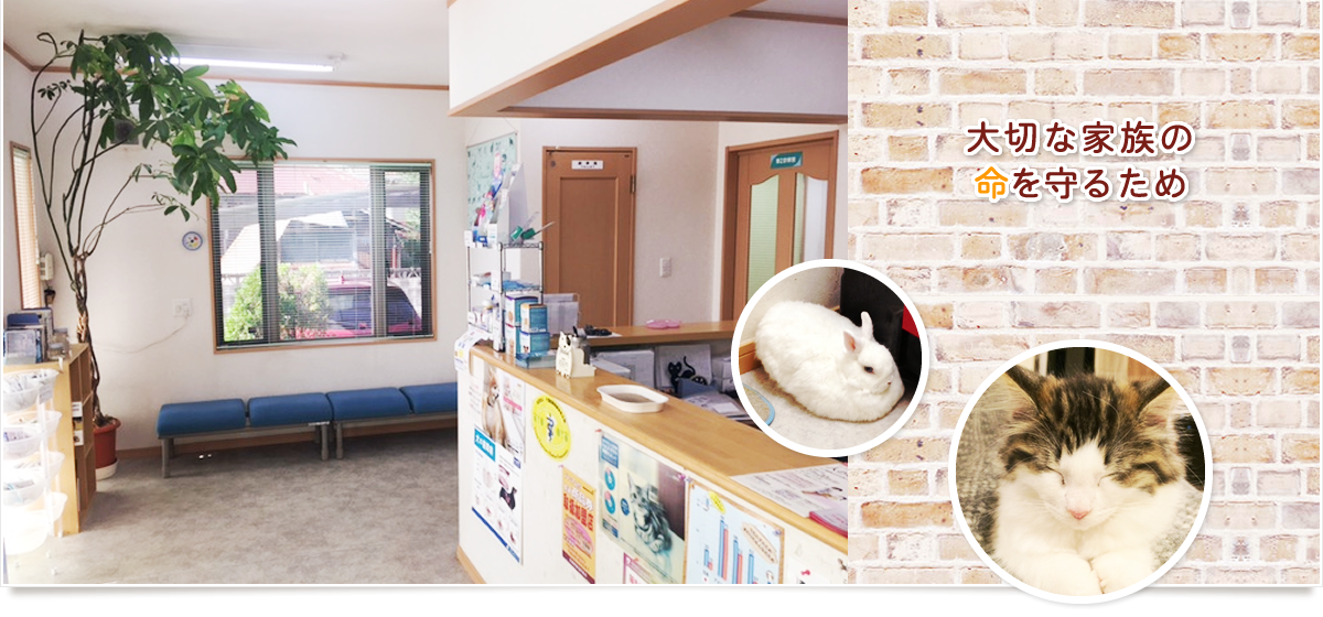 株式会社八日市場動物病院