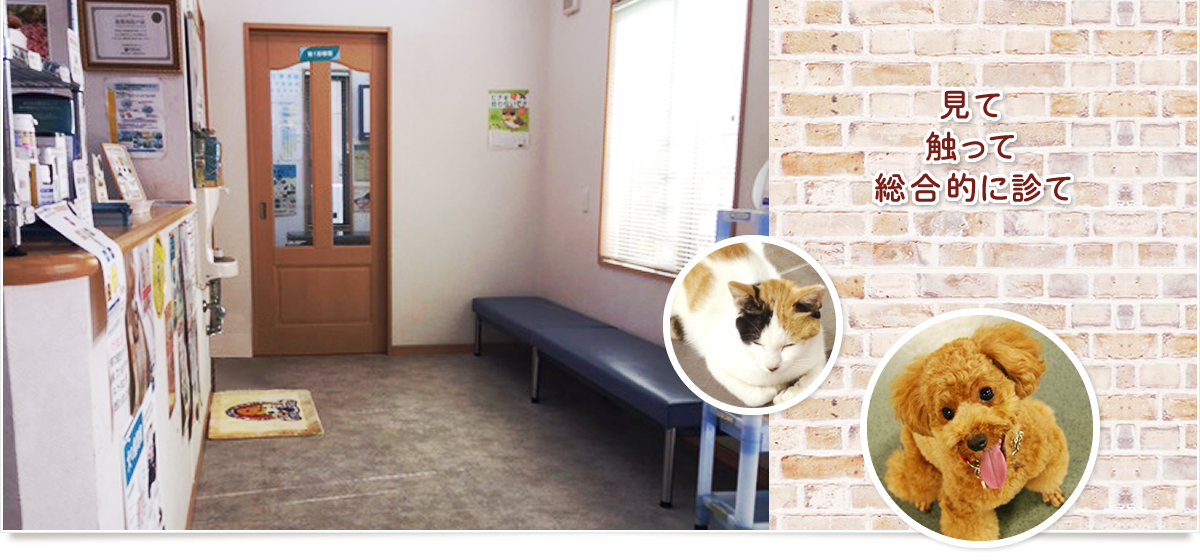 株式会社八日市場動物病院