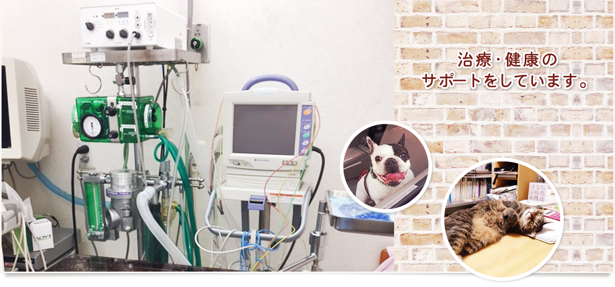 株式会社八日市場動物病院