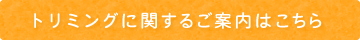care_policy