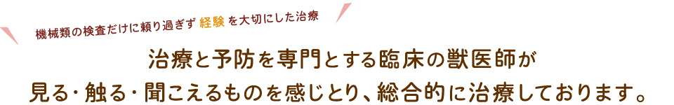 治療と予防を専門とする臨床の獣医師が、見る・触る・聞こえるものを感じとり、総合的に治療しております。