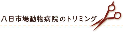 八日市場動物病院のトリミング