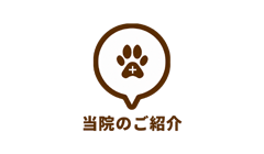 当院のご紹介